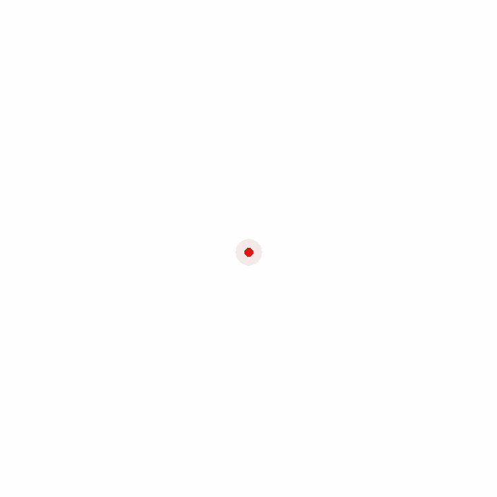 Nibbly animated logo